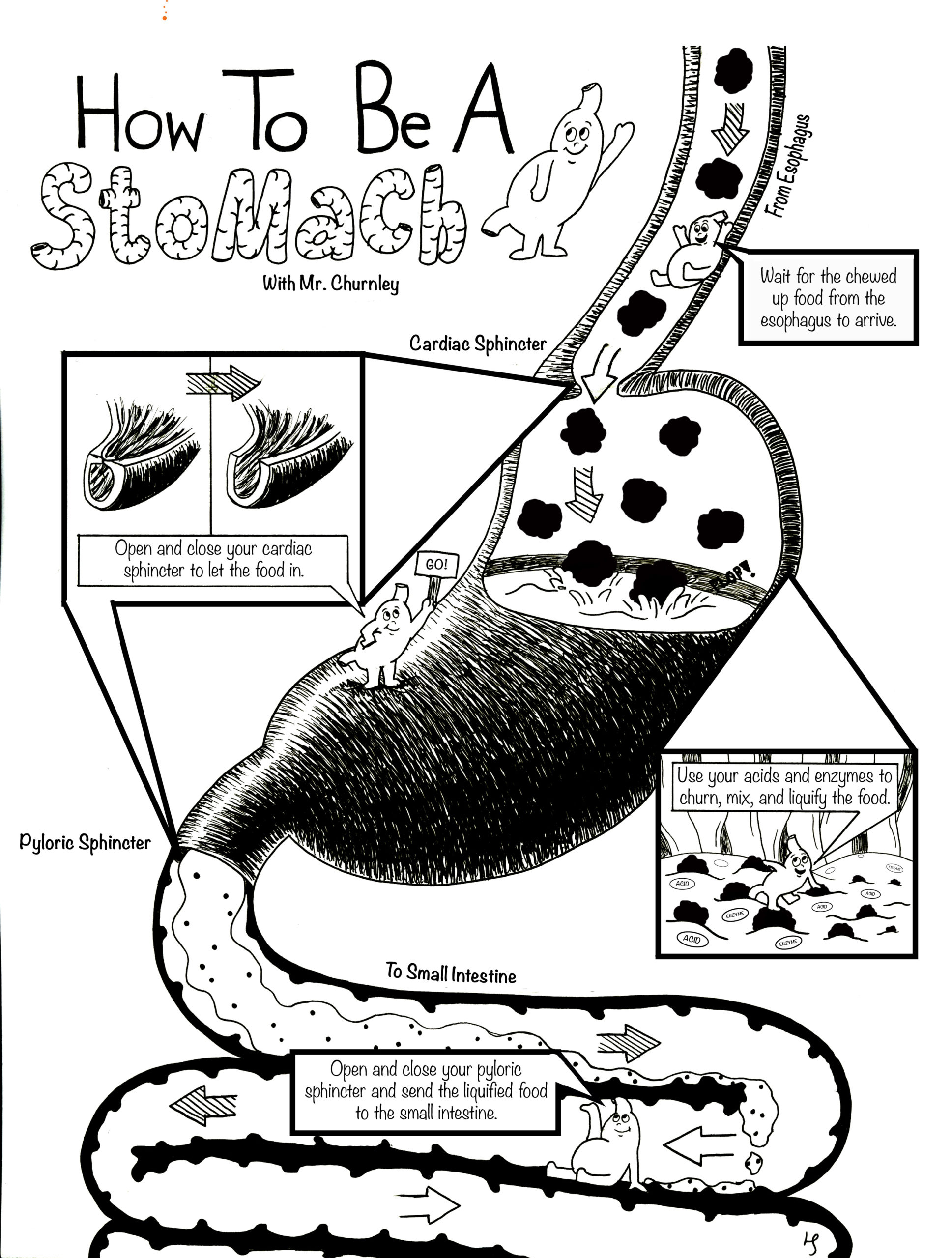 03_Stewart1HowtobeaStomach