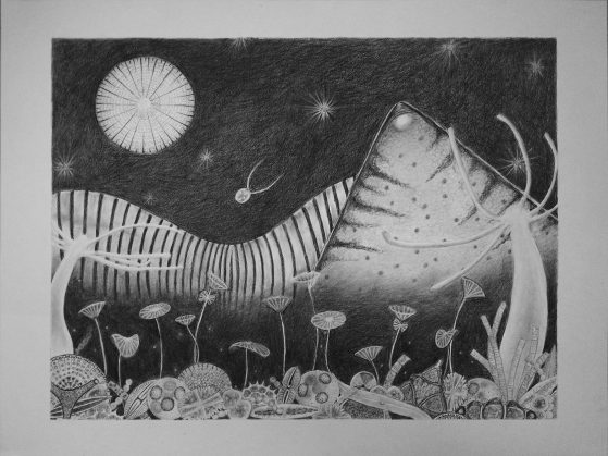 image (8)