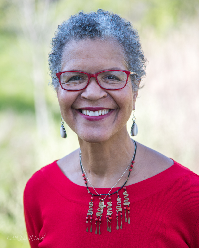 NJD15398 - Robin Wilson