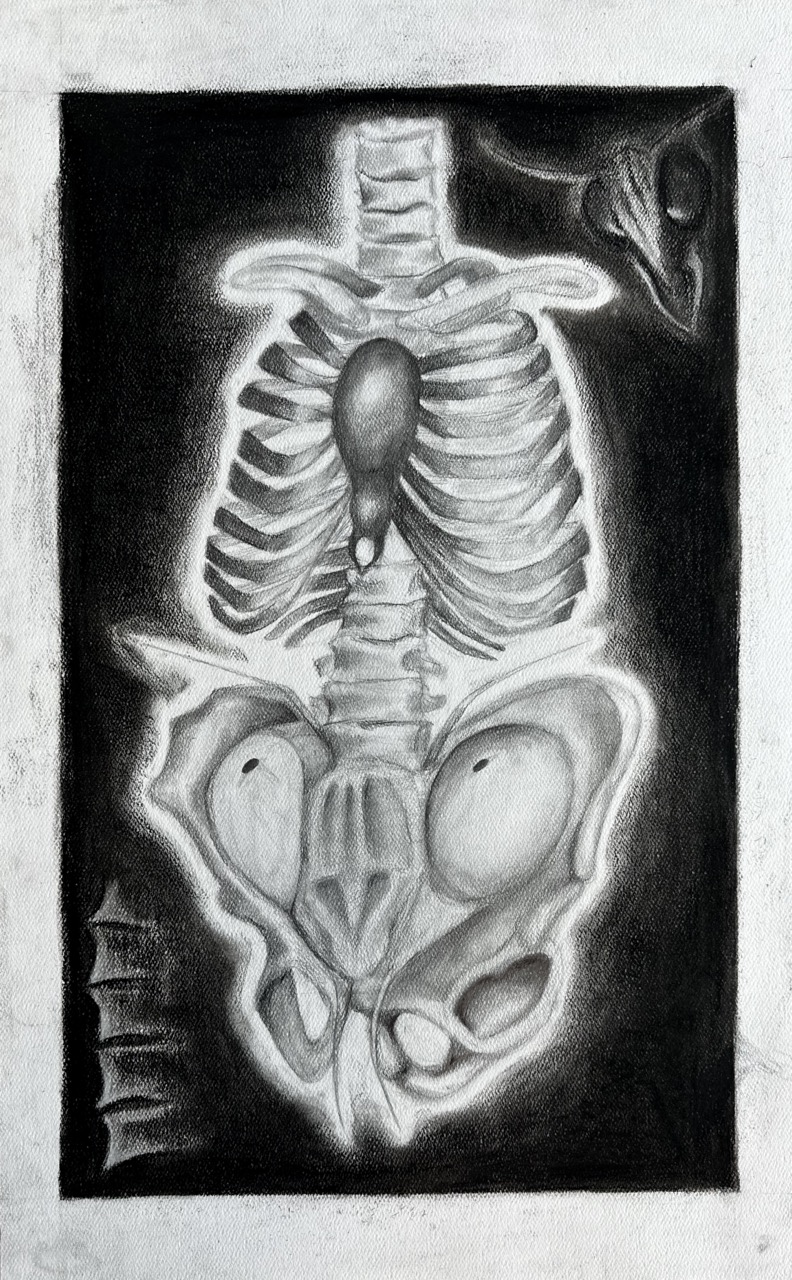 Ali Exoskeleton Artwork