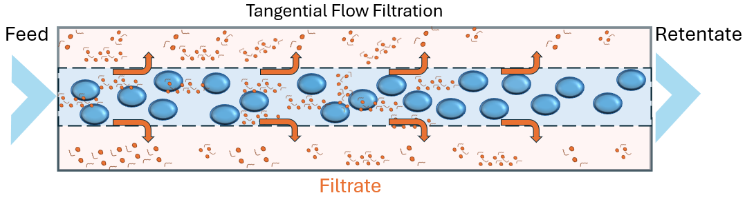 Tangential Flow Filtration