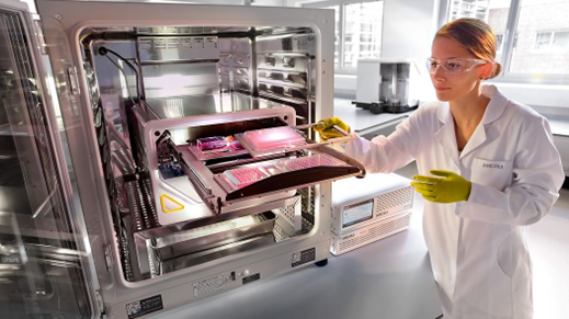 Headshot of Yuri Kim