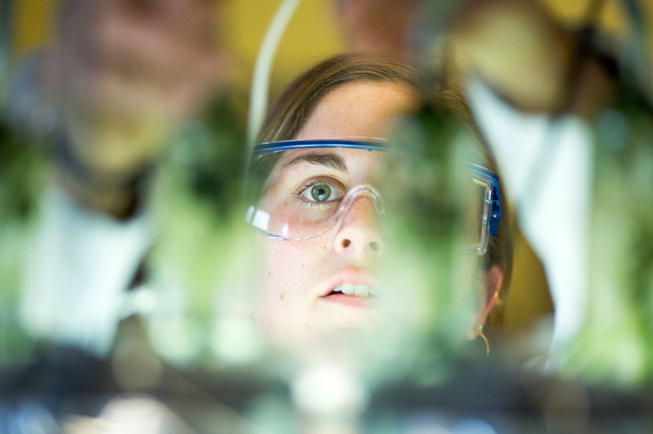 Lab tech peering through goggles at vials