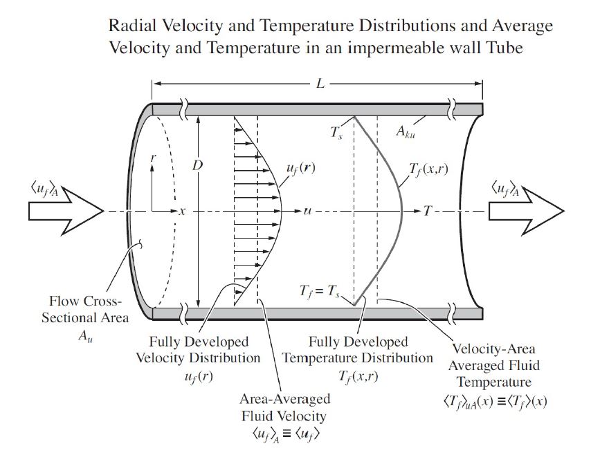 Radial Velocity and Temperature Distributions and Average Velocity and Temperature in an impermeable wall Tube